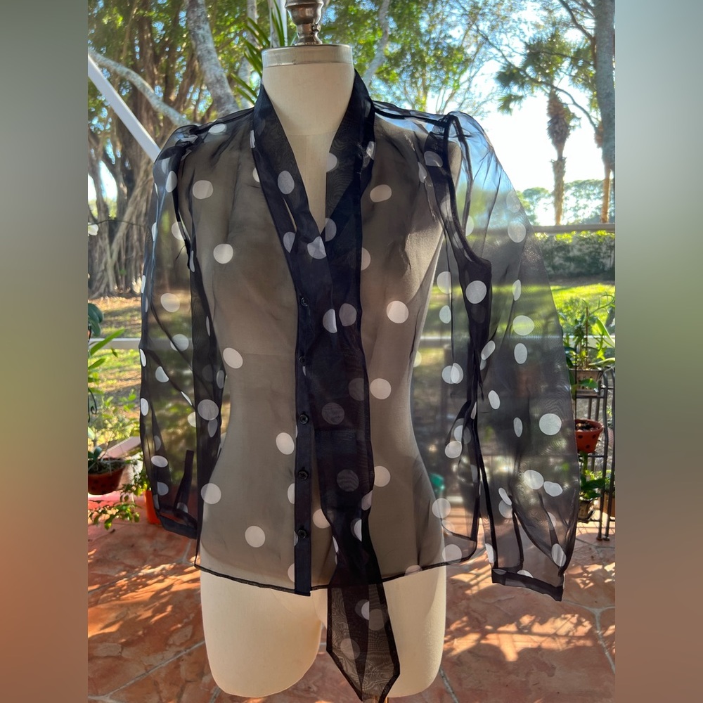 White House Black Market X- Small Long Sleeve Organza Dot Blouse